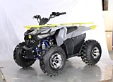 Запчасти для HAMMER ATV125 (СЕРЫЙ)