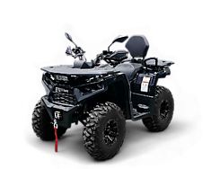 Квадрицикл BIZON YK250 LUX EFI (ПТС) (17 л.с) ЧЕРНЫЙ