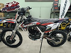 Мотоцикл PROGASI IBIZA 300 (ZS PR300) (КРАСНЫЙ)