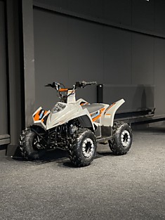 Запчасти для REGULMOTO SK11 (110 сс.)