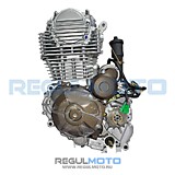 Двигатель в сборе 4Т ZS 172FMM-5 PR (175FMN) (300cc, big bore 75мм, 6 пер, с баланс валом без кикст)