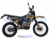 Мотоцикл Regulmoto ZZ 300 PR 6 передач с ПТС (Чёрный/Оранжевый)