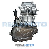 Двигатель в сборе 4Т ZS 172FMM-5 PR (175FMN) (300cc, big bore 75мм, 5 пер, с баланс. валом)